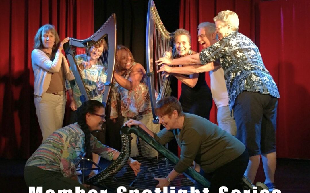 Hip Harp Academy Member Spotlight: Creative Resonance 2024