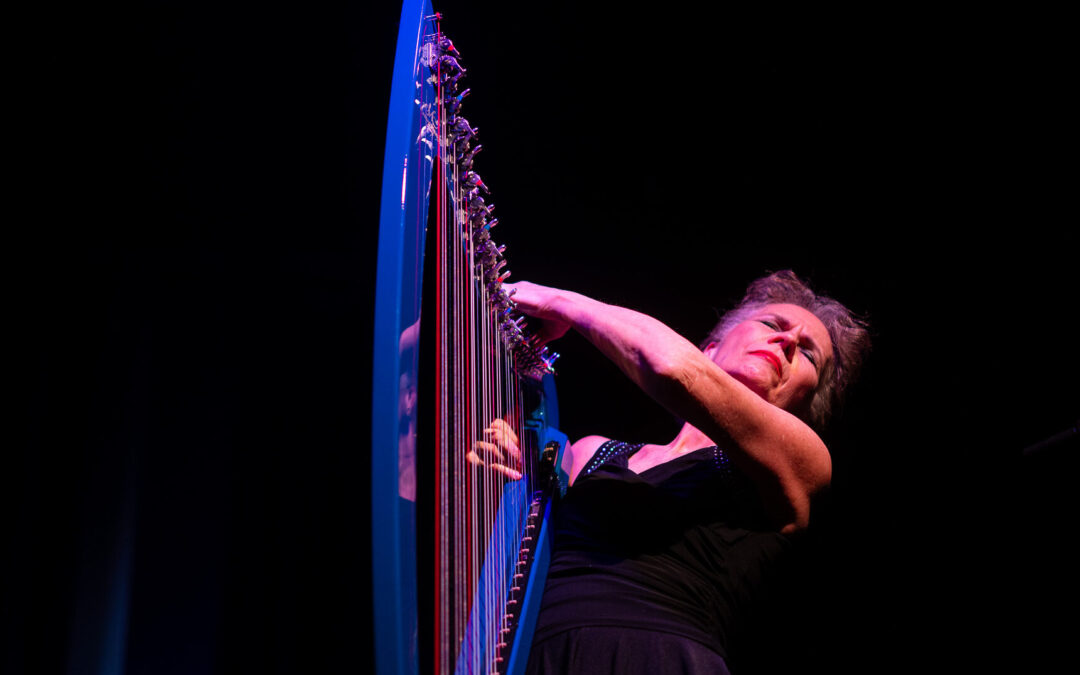A Hectic Dutch Harp Festival weekend in Utrecht, Netherlands!