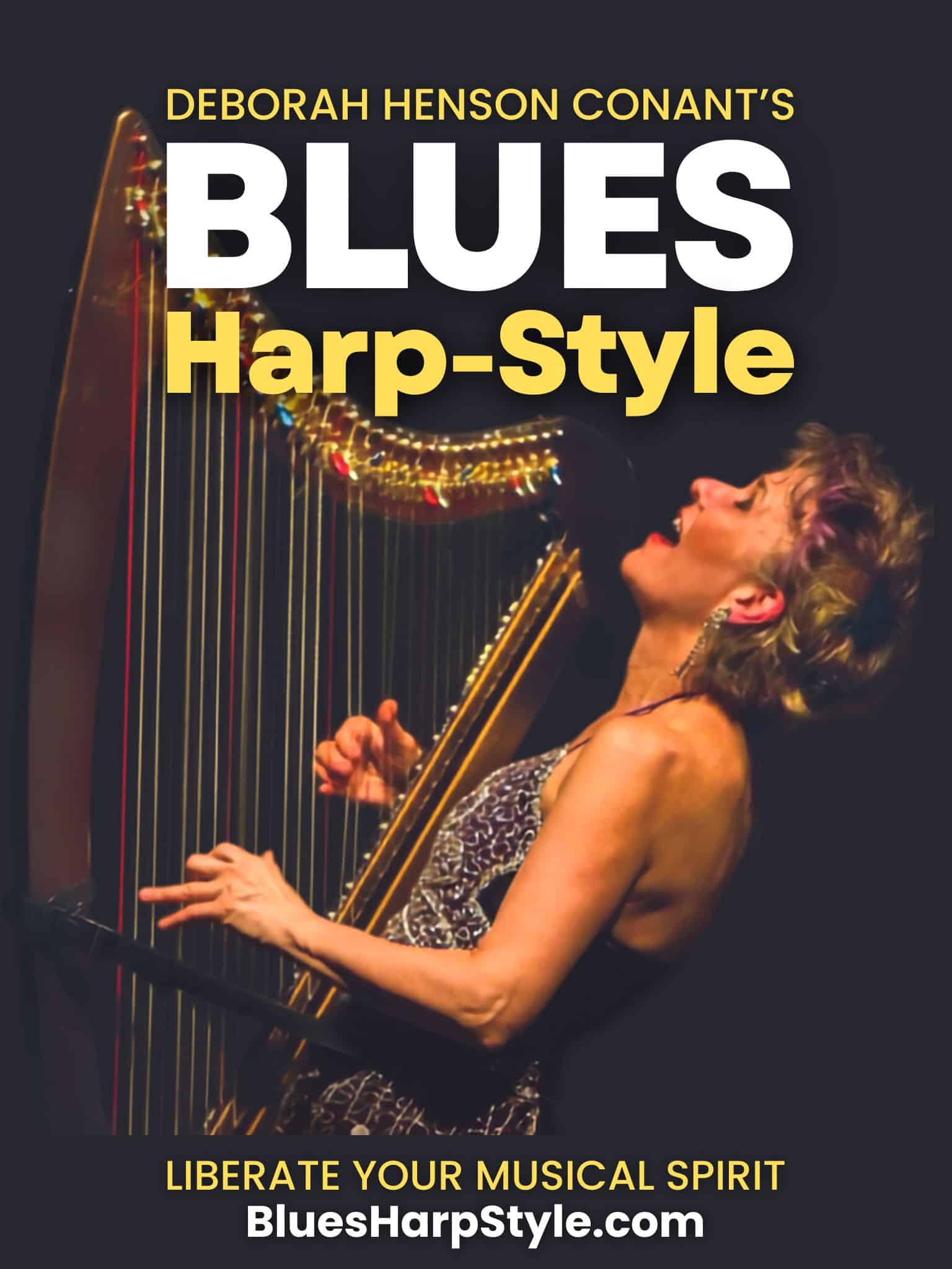 BHS-Blues-Harp-Style-DHC-HipHarp